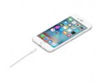 Apple Lightning To USB 1M Cable  MD818 - Image 2